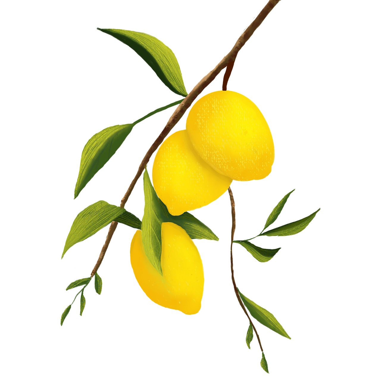 Lemons