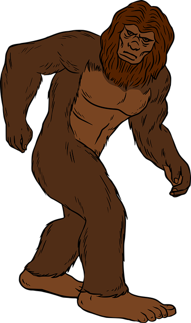 Sasquatch; Bigfoot